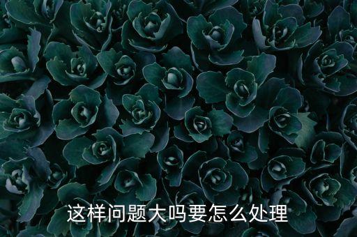 这样问题大吗要怎么处理