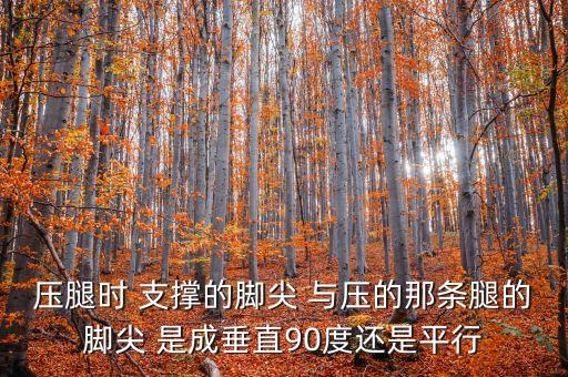 压腿时 支撑的脚尖 与压的那条腿的脚尖 是成垂直90度还是平行
