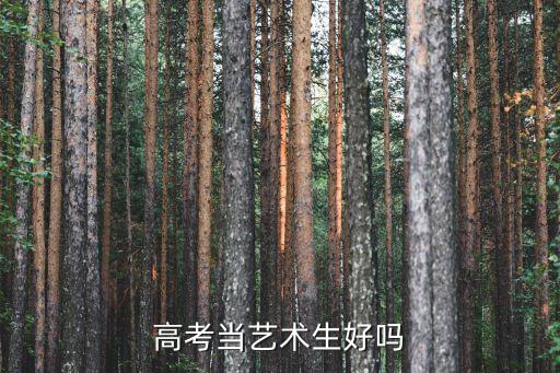 高考当艺术生好吗