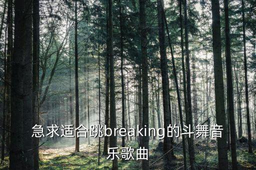 急求适合跳breaking的斗舞音乐歌曲
