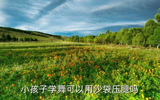 小孩子学舞可以用沙袋压腿吗