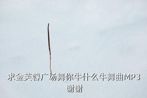 牛什么牛鬼步舞免费下载，dj308交谊舞曲网广场舞你牛什么牛mp3我要下载