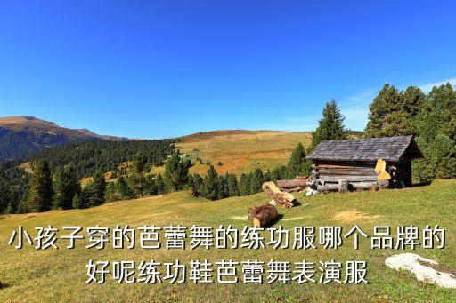 小孩子穿的芭蕾舞的练功服哪个品牌的好呢练功鞋芭蕾舞表演服