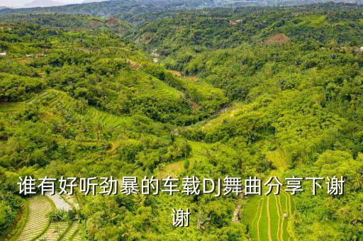 谁有好听劲暴的车载DJ舞曲分享下谢谢