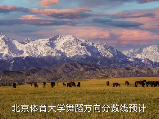 舞蹈专业大学录取分数线，高考舞蹈的专业分是以什么为主