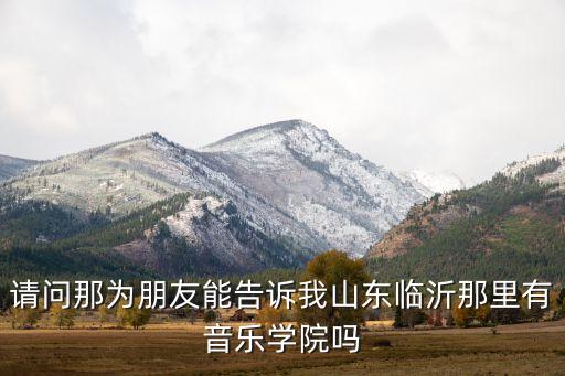 请问那为朋友能告诉我山东临沂那里有音乐学院吗