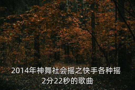 2014年神舞社会摇之快手各种摇 2分22秒的歌曲