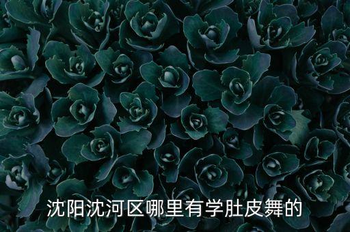 附近的肚皮舞培训班，肚皮舞的课程哪家比较好呢省体育场附近有肚皮舞班吗