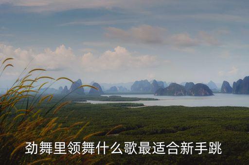 领舞的歌曲有哪些，领舞玩什么歌最简单