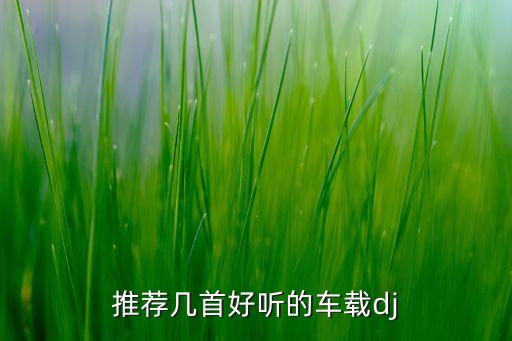 车载音乐dj视频大全，DJ劲爆车载音乐