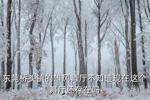 东莞桥头镇的雄风舞厅不知道现在这个舞厅还存在吗