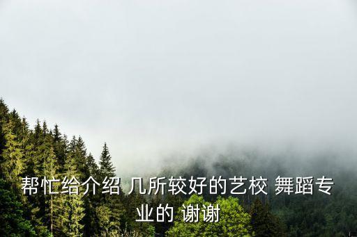 帮忙给介绍 几所较好的艺校 舞蹈专业的 谢谢