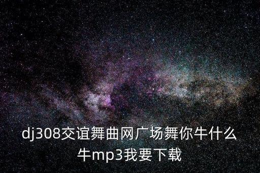 dj308交谊舞曲网广场舞你牛什么牛mp3我要下载