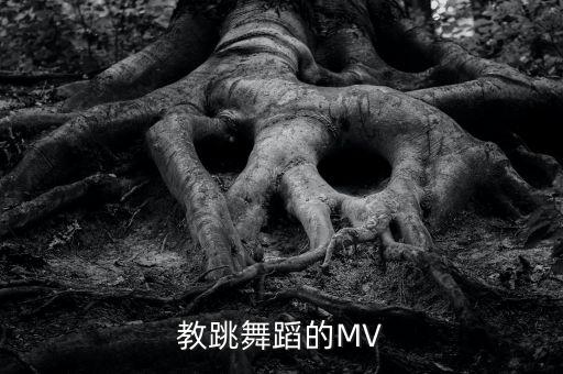 免费的舞蹈教学视频，教跳舞蹈的MV