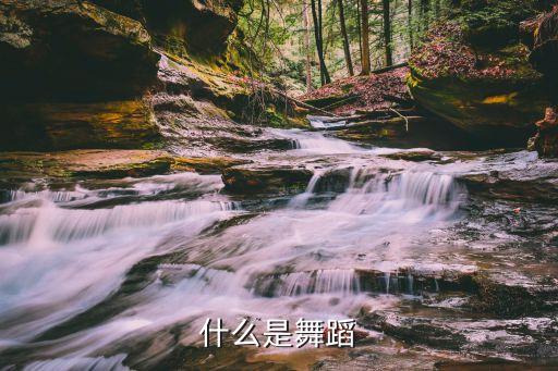 什么是舞蹈