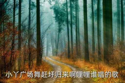 小丫广场舞赶圩归来啊哩哩谁唱的歌