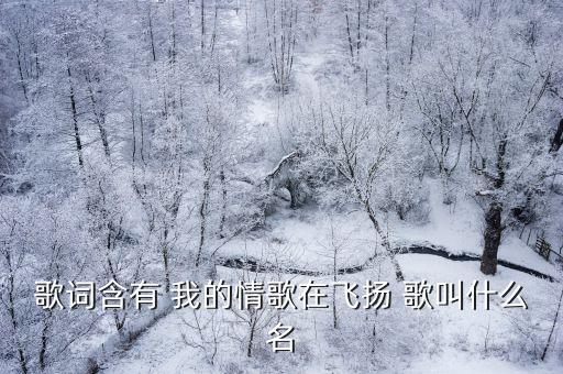 情歌在飞扬心在什么歌，歌词含有 我的情歌在飞扬 歌叫什么名