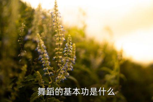 舞蹈的基本功是什么