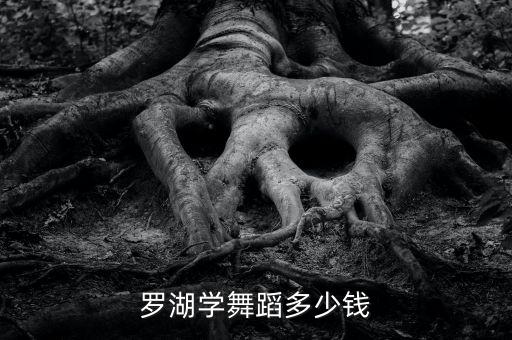 罗湖学舞蹈多少钱