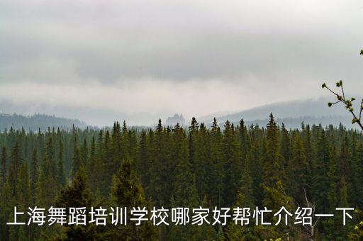 上海舞蹈培训学校哪家好帮忙介绍一下