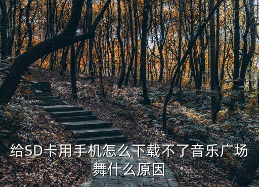 广场舞为什么不能下载，下广场舞到手机里为什么下不进去