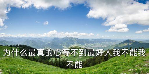 为什么最真的心等不到最好人我不能我不能