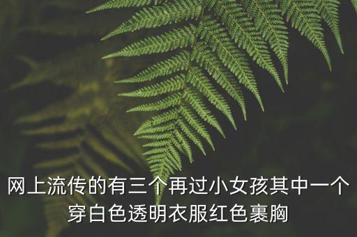 网上流传的有三个再过小女孩其中一个穿白色透明衣服红色裹胸