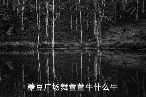 糖豆广场舞萱萱牛什么牛