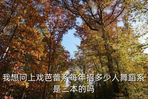 我想问上戏芭蕾系每年招多少人舞蹈系是二本的吗