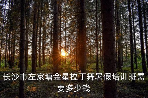 长沙市左家塘金星拉丁舞暑假培训班需要多少钱