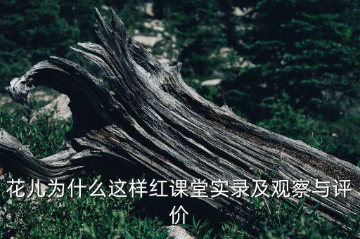 花儿为什么这样红舞评，花儿为什么这样红课堂实录及观察与评价