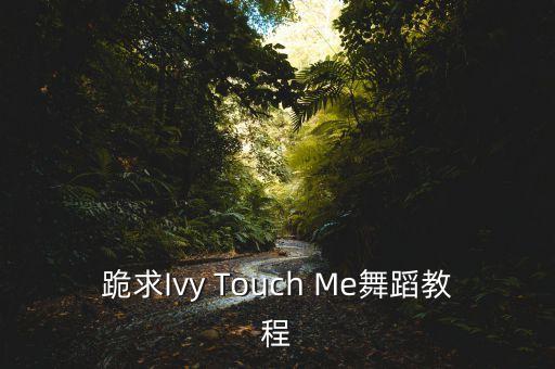 跪求Ivy Touch Me舞蹈教程