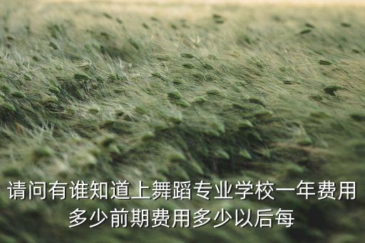 请问有谁知道上舞蹈专业学校一年费用多少前期费用多少以后每