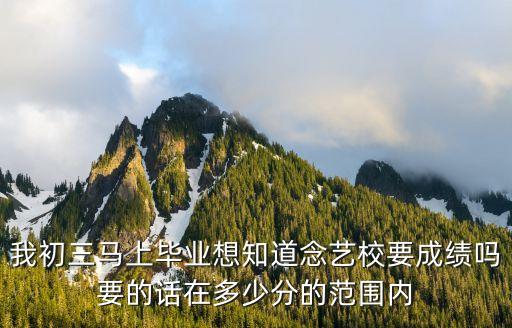 我初三马上毕业想知道念艺校要成绩吗要的话在多少分的范围内