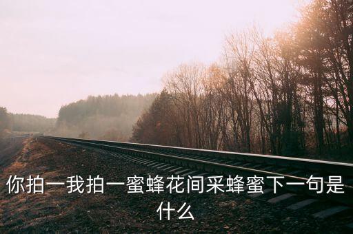 小儿歌你拍一我拍一，你拍一我拍一哥名叫什么是儿歌