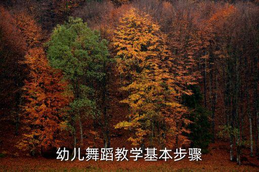 幼儿舞蹈教学基本步骤