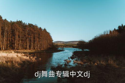 dj舞曲专辑中文dj