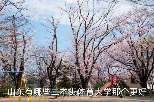 山东有哪些二本类体育大学那个更好