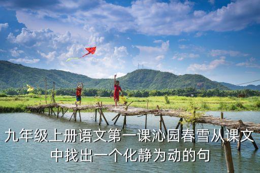 沁园春雪如何加动作，沁园春雪描写动态雪景的句子