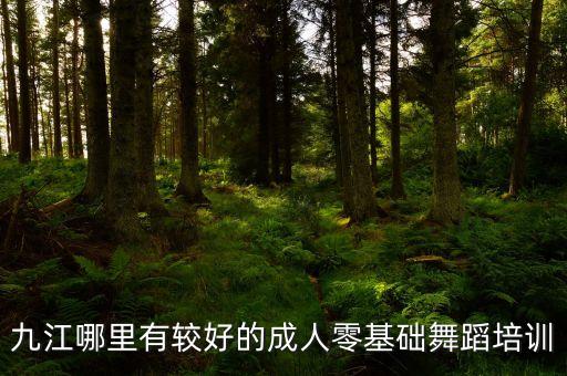 九江哪里有较好的成人零基础舞蹈培训