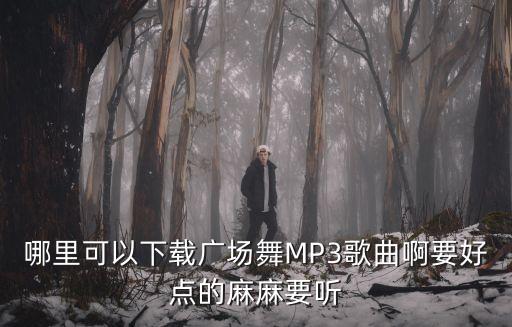 哪里可以下载广场舞MP3歌曲啊要好点的麻麻要听