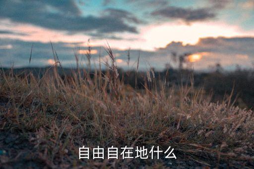 自由自在地什么