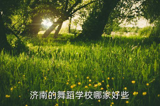 济南的舞蹈学校哪家好些