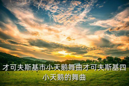 才可夫斯基市小天鹅舞曲才可夫斯基四小天鹅的舞曲