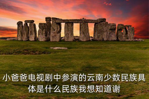 小爸爸电视剧中参演的云南少数民族具体是什么民族我想知道谢