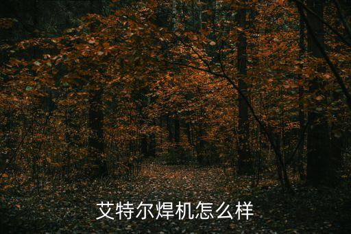 温可馨肚皮舞 怎么样，路美乐鞋怎么样是不是品牌价格贵不贵