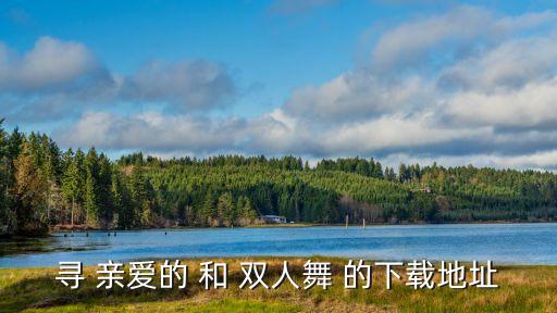 寻 亲爱的 和 双人舞 的下载地址