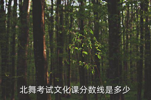 北舞考试文化课分数线是多少