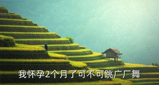我怀孕2个月了可不可跳广厂舞