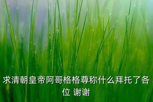 求清朝皇帝阿哥格格尊称什么拜托了各位 谢谢